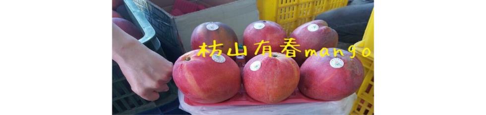 公司簡介