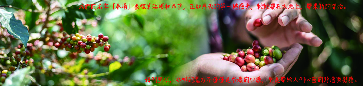 公司簡介