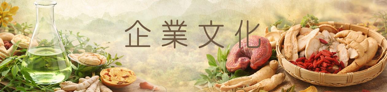 公司簡介